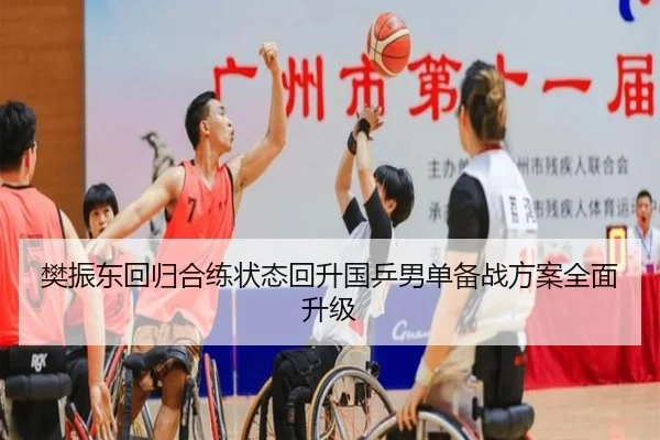 樊振东回归合练状态回升国乒男单备战方案全面升级