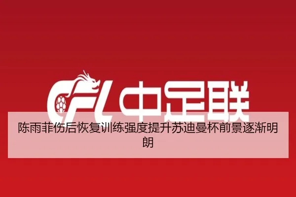 陈雨菲伤后恢复训练强度提升苏迪曼杯前景逐渐明朗