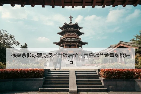 徐嘉余仰泳转身技术升级后全国赛夺冠含金量深度评估